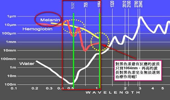 雷射除斑|尚安診所|美白|深層斑|淺層斑|黑色素