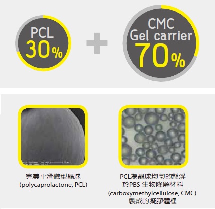 polynucleotide kinase磷酸化后与模板质粒dna进