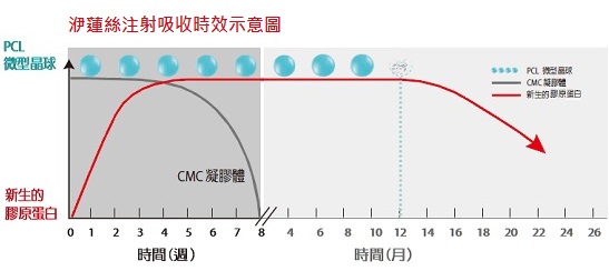 洢蓮絲注射吸收時效