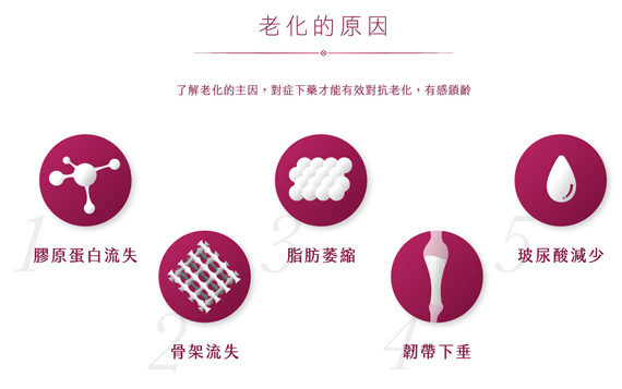 老化原因